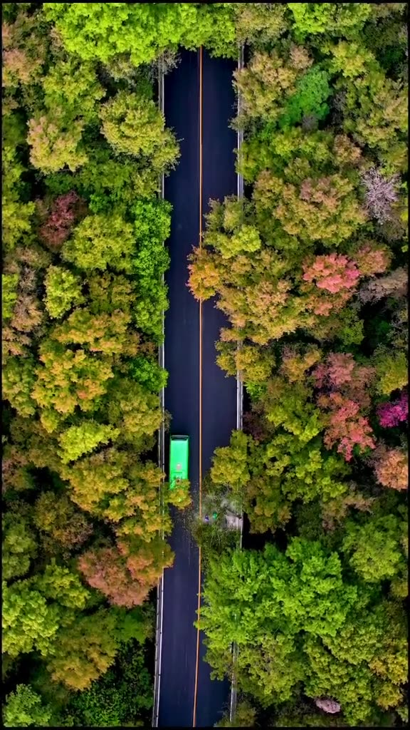 [图]秋天又来了最美的风景属于懂得欣赏的你这个秋天我在南京等你66484