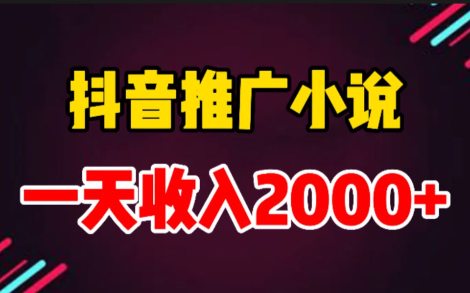 [图]抖音推广小说另类玩法，简单粗暴，一天直接2000+!