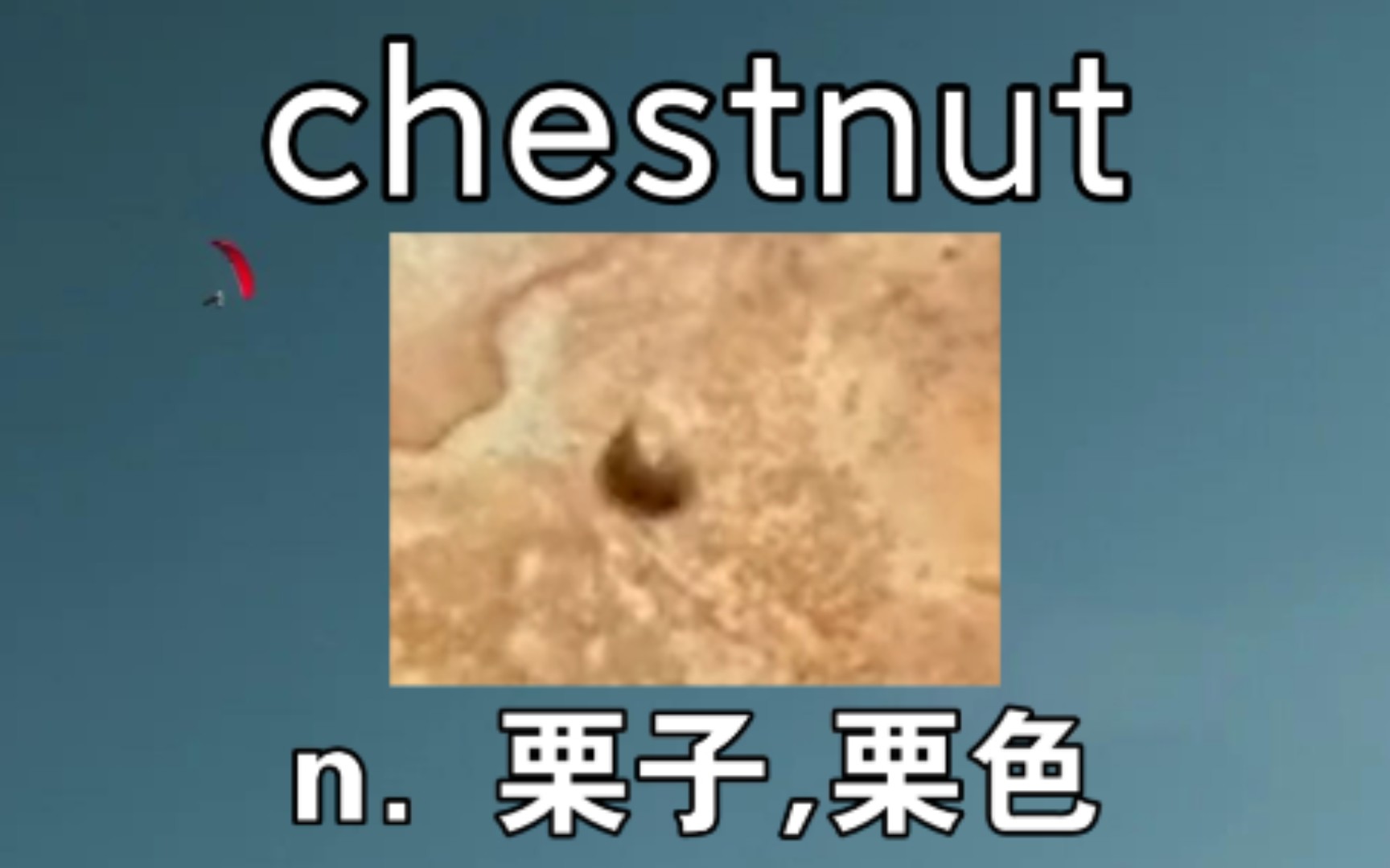 [高阶词汇] chestnut 栗子哔哩哔哩bilibili