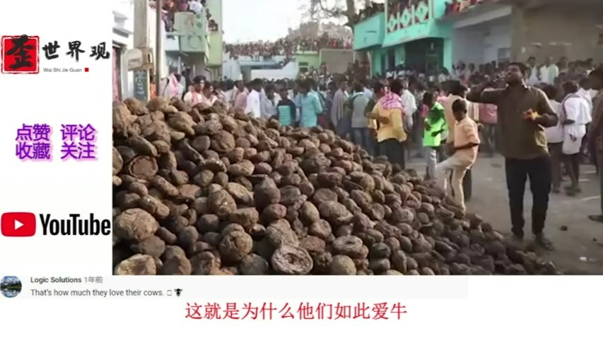 印度奇葩"牛粪节"全村互扔牛粪,国外评论:隔着屏幕都能闻到味