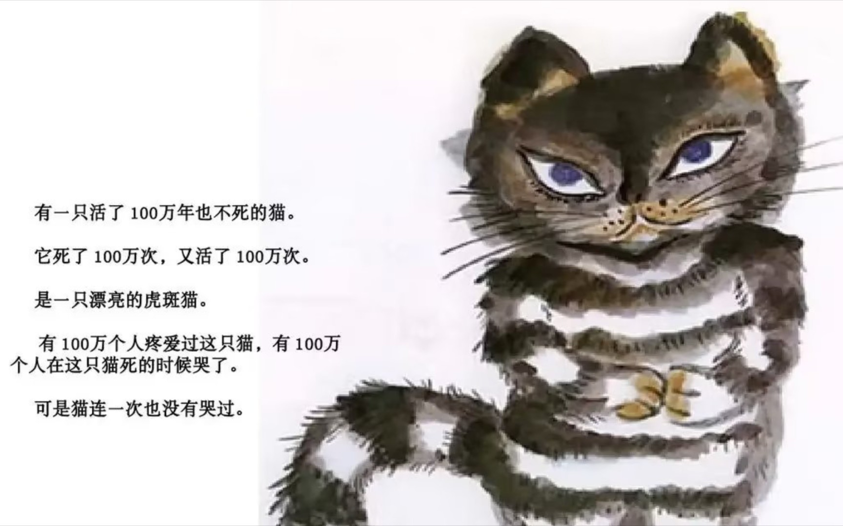 《活了一百万次的猫》|这就是儿童文学的魅力,爱让我结束了四处漂泊.哔哩哔哩bilibili