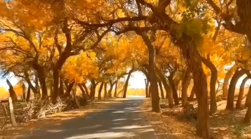 [图]本人翻唱黄绮珊的歌曲《千年一瞬间》并分享旅游小视频