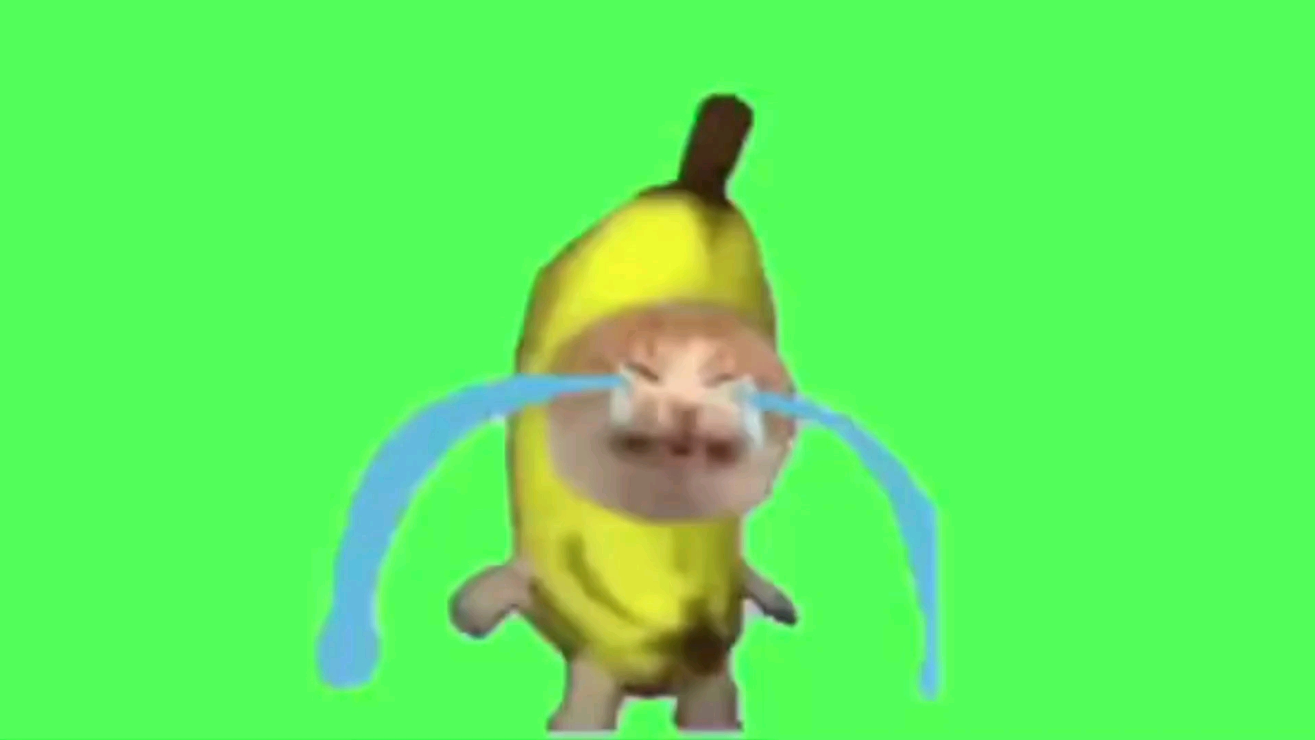 香蕉猫哭泣gb素材