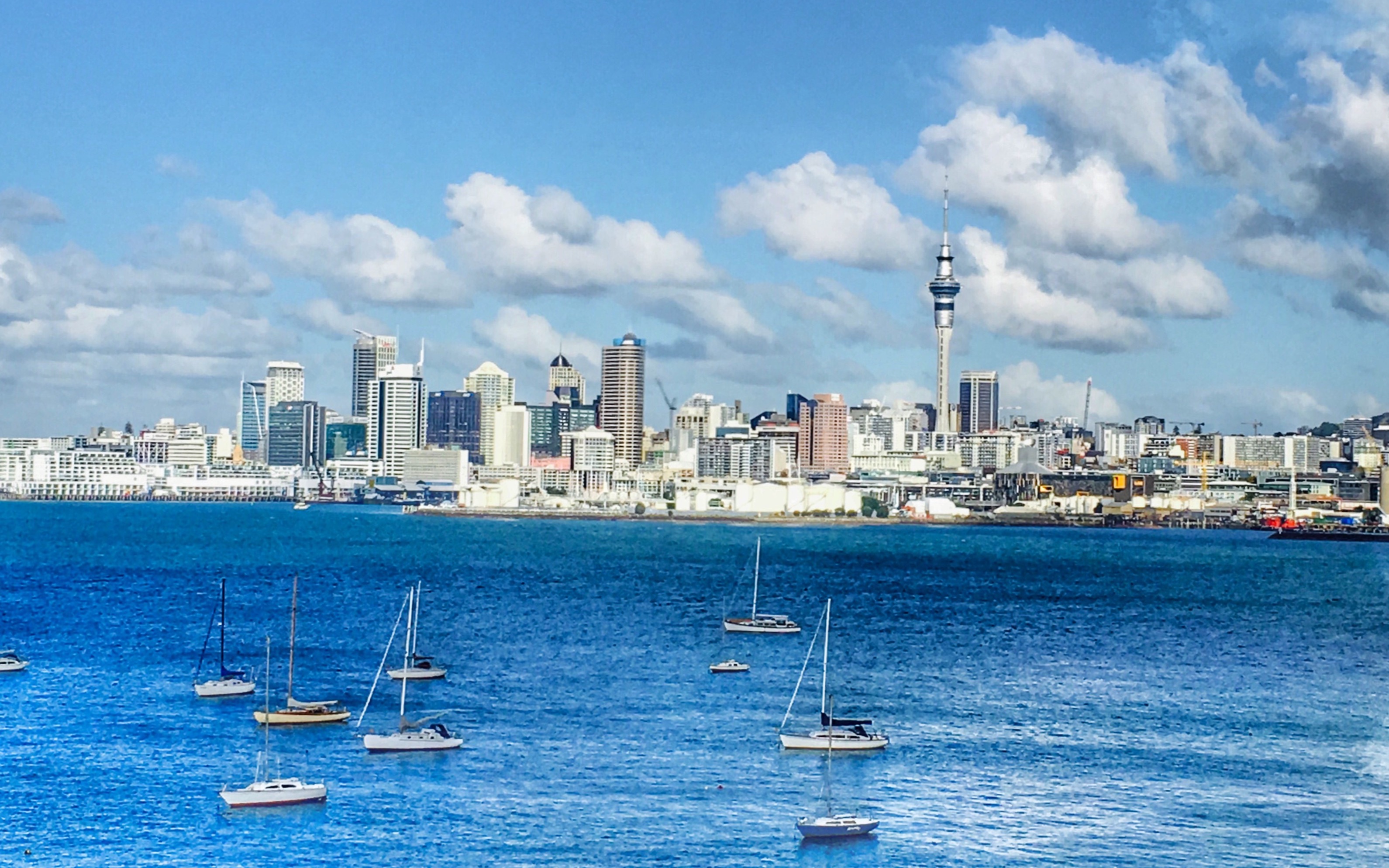 是纽村啊——千帆之都奥克兰_哔哩哔哩 (゜-゜)つロ 干杯~-bilibili