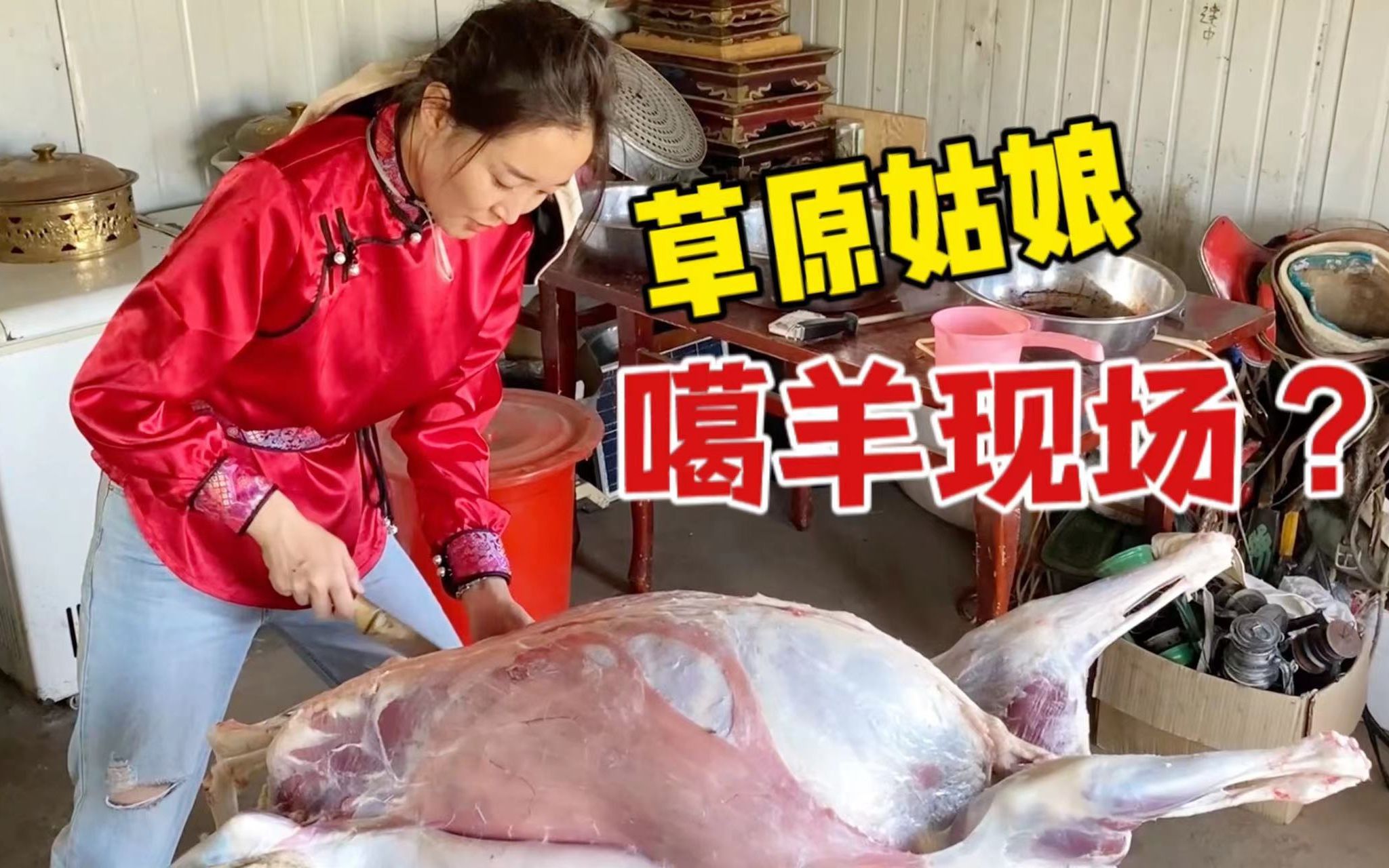 [图]内蒙姑娘扒羊皮太厉害！想吃肉1000头羊随便挑，草原抓羊场面壮观