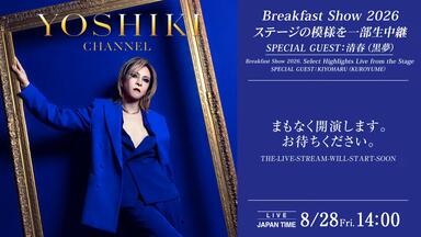 蓝光原盘】X Japan Visual Shock Vol.3.5 Say Anything X Ballad