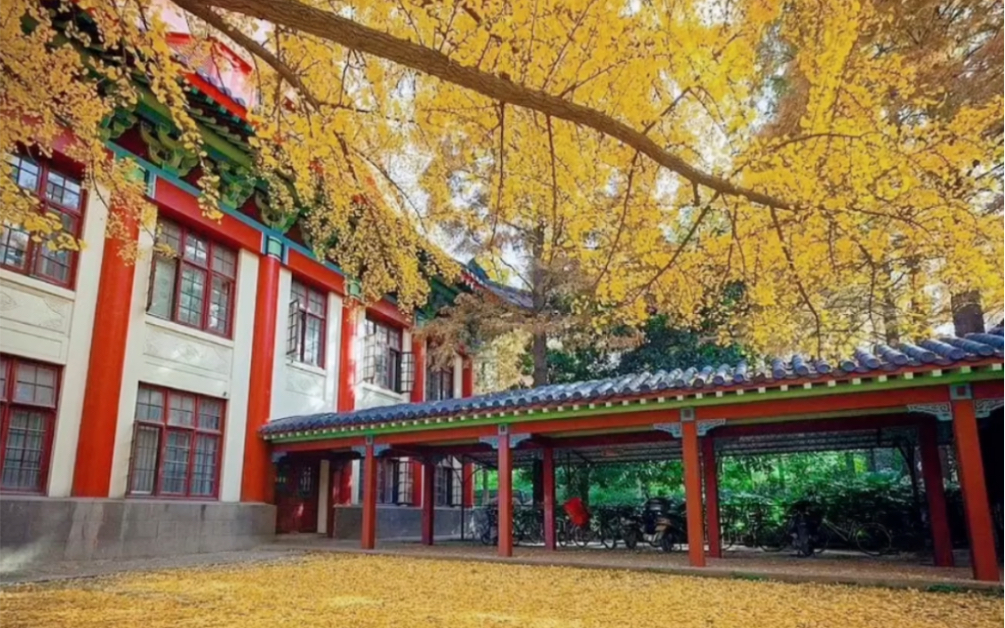 雨中漫步東方最美校園-南京師範大學隨園校區