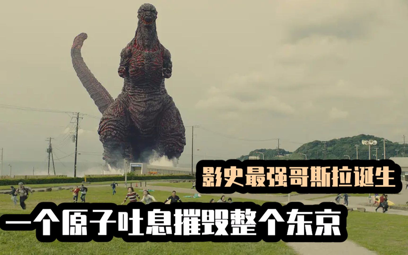海报