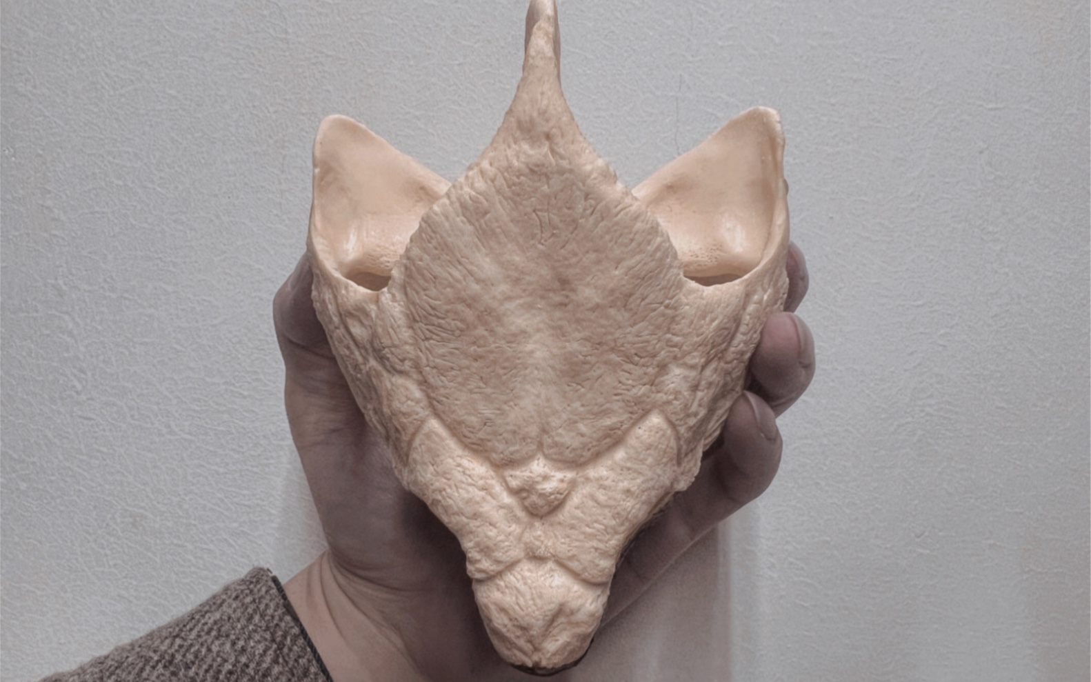 一个大鳄龟头骨复刻品开箱视频,挺大个儿,国产之光