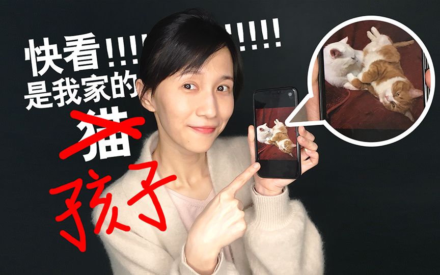 papi酱突然更新的放送——不瞒你说,我家的两个猫啊,都不是我亲生的!