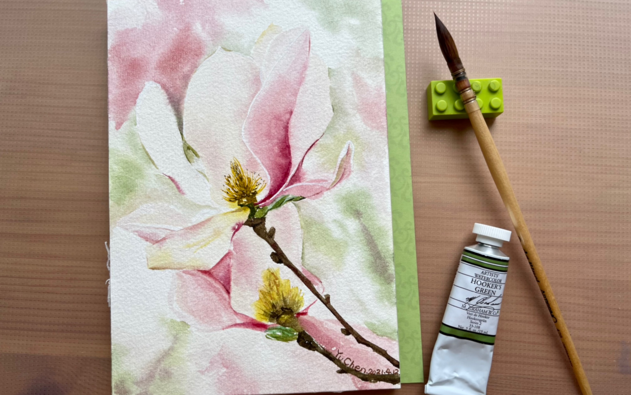 【水彩】花卉 玉兰花 干湿画法 水彩花卉教程 新手进阶