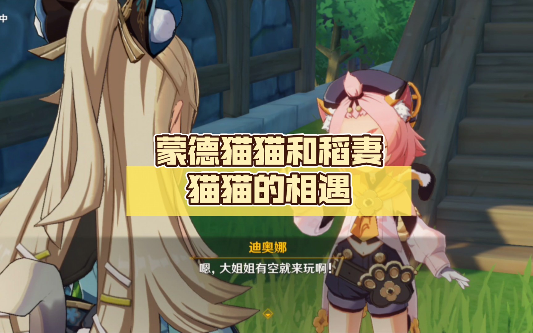 【原神】蒙德猫猫和稻妻猫猫的相遇