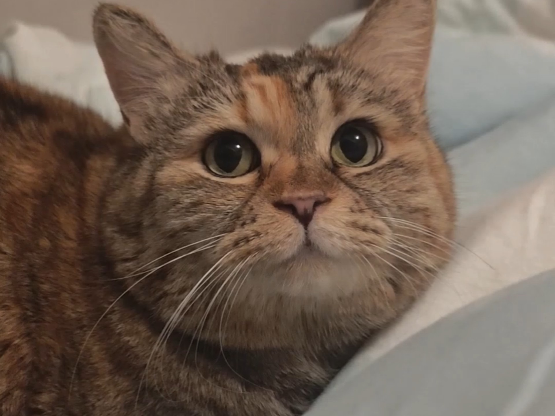 我希望明天吃得会更好