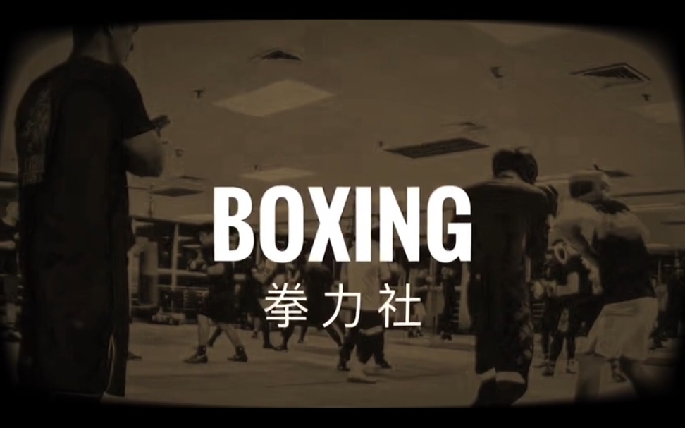 拳力社BOXING哔哩哔哩bilibili