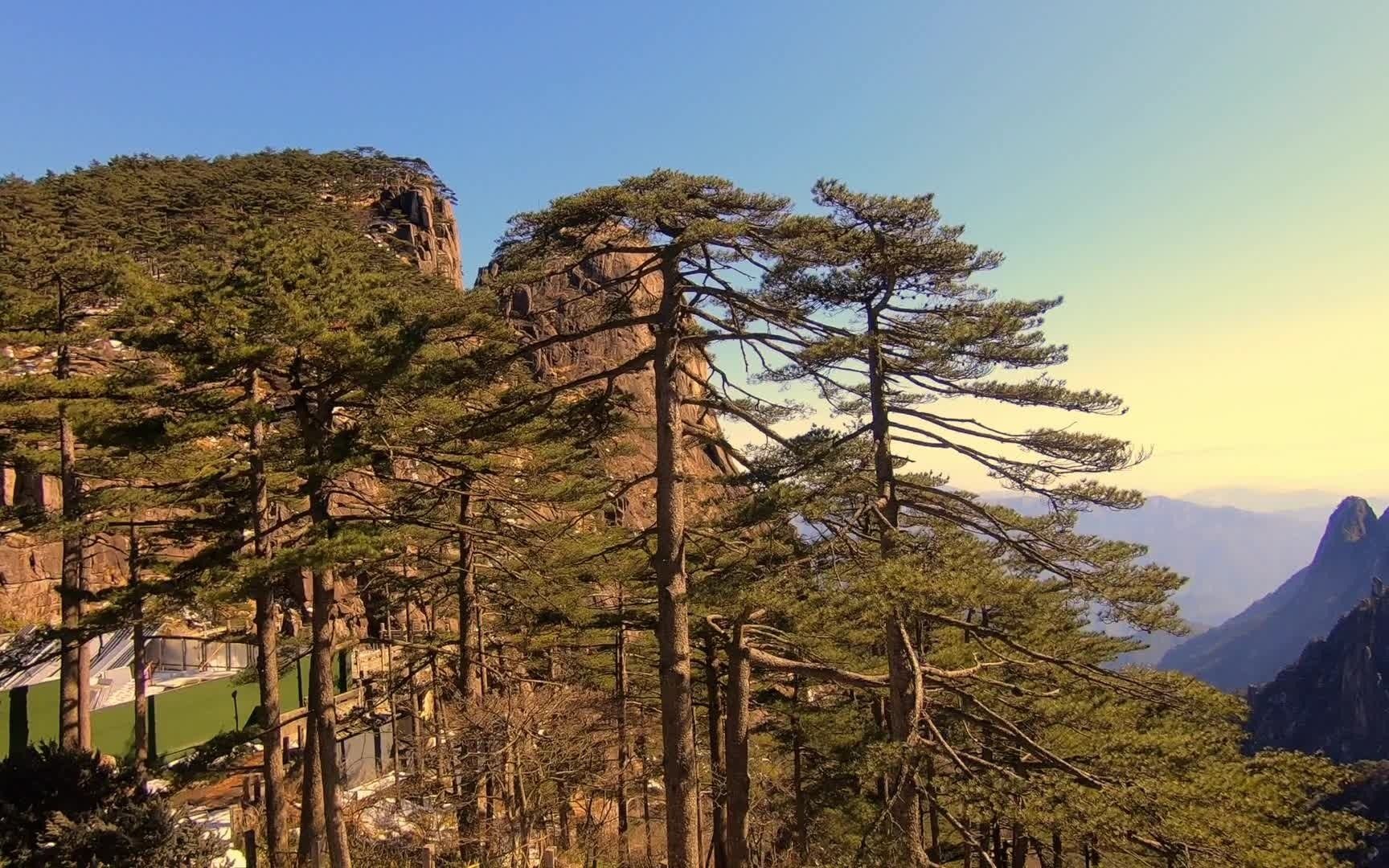 黄山白鹅岭图片