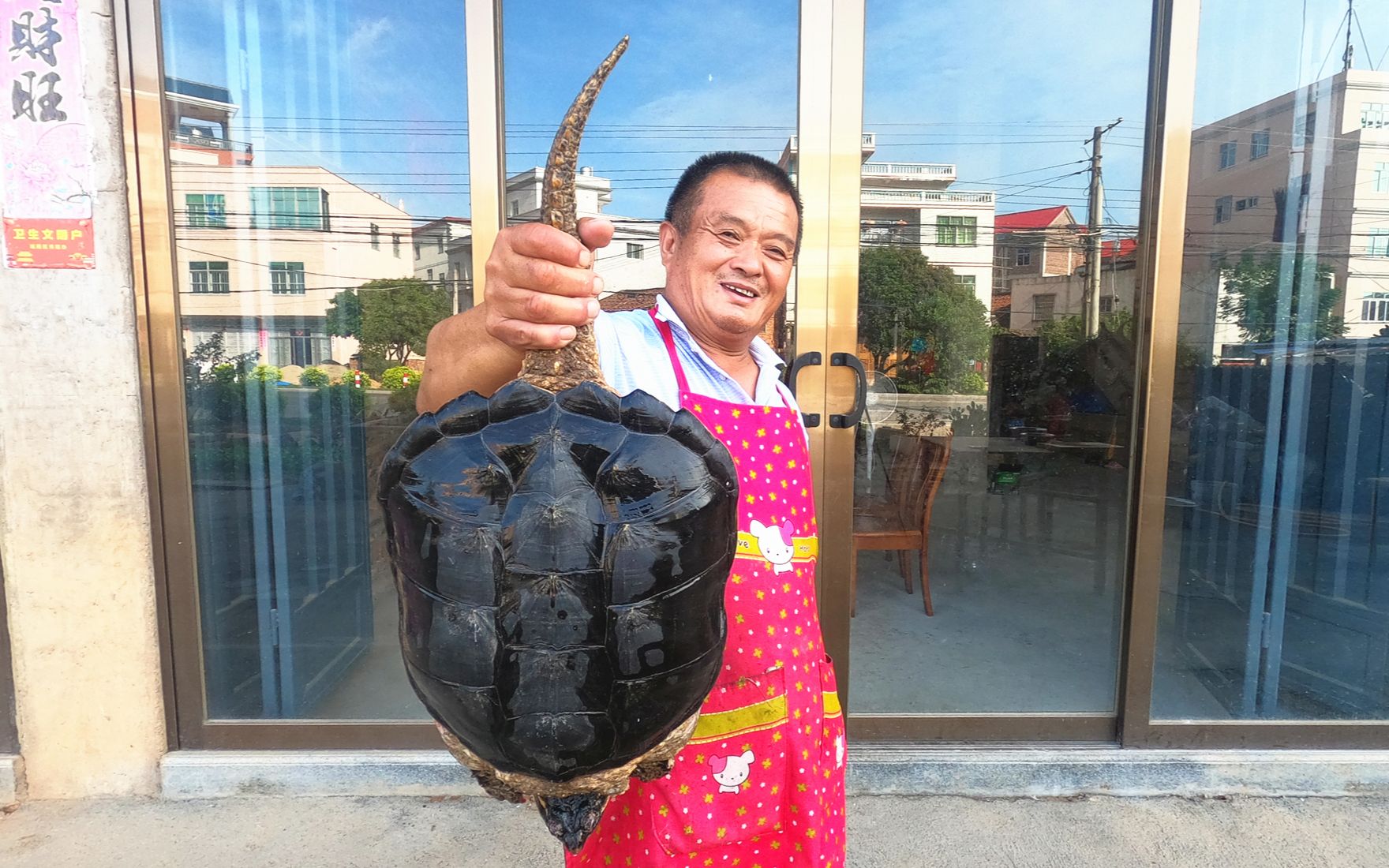 18斤重鳄鱼龟,炖上自家养的老母鸡,这"霸王别鸡"霸气