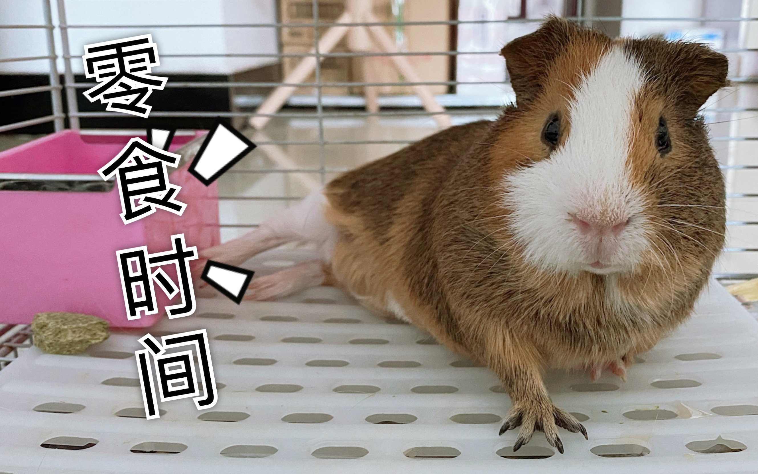 大胖小胖之零食时间2