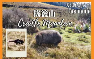 Télécharger la video: 【Cradle Mountain🗻塔斯】野生袋熊🐻罕見斑點袋鼬！塔斯僅存｜Carter Fall💦深入瀑布地帶探險・絕美綠景｜布里斯班✈️好食韓國菜