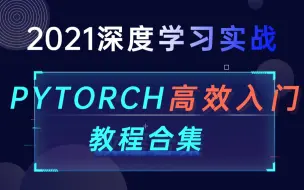 Download Video: 【2021深度学习入门合集】PyTorch深度学习基础快速入门