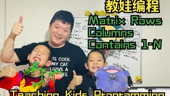 第380天 教娃编程 -  检查矩阵每行和每列是否包含1-N自然数