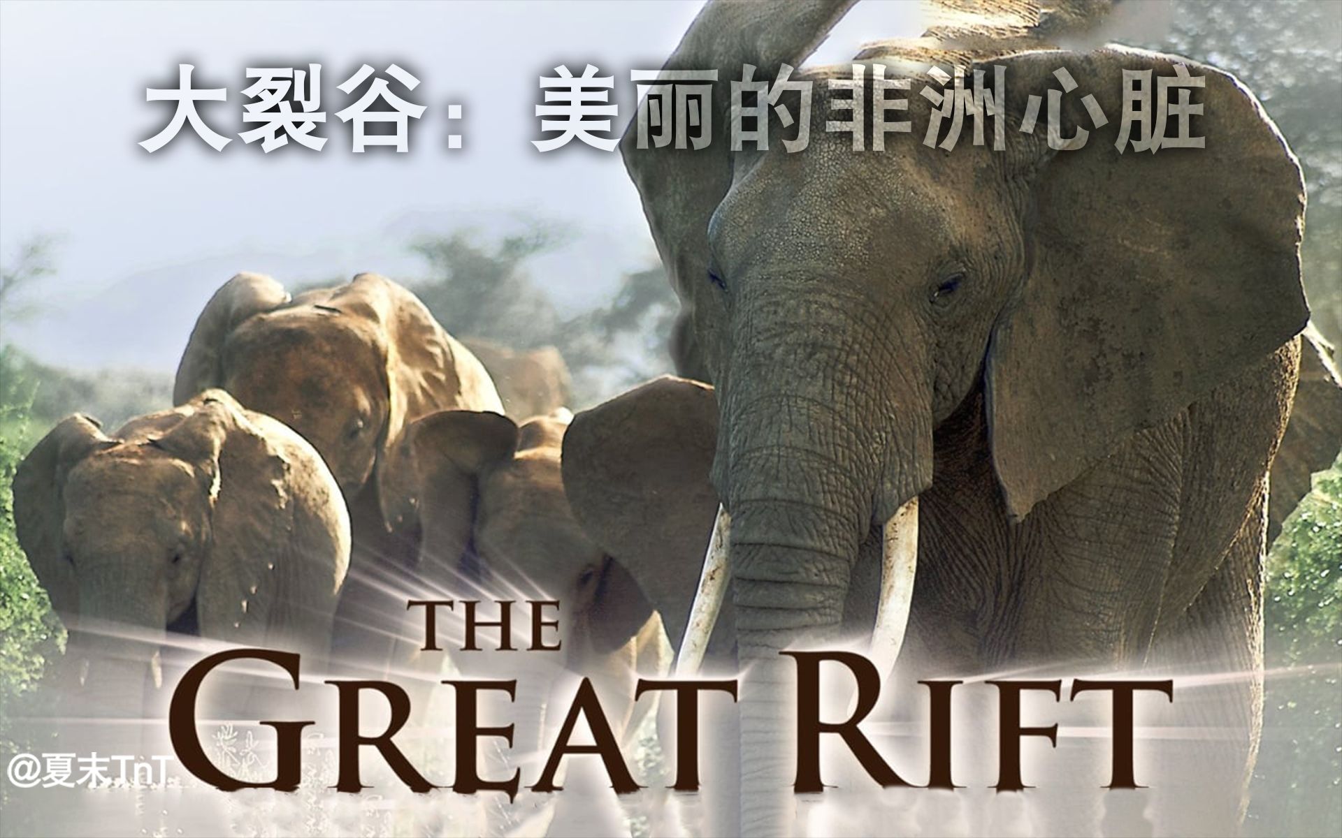 大裂谷:美丽的非洲心脏 中文字幕 全3集 The Great Rift: Africa's Wild Heart哔哩哔哩bilibili