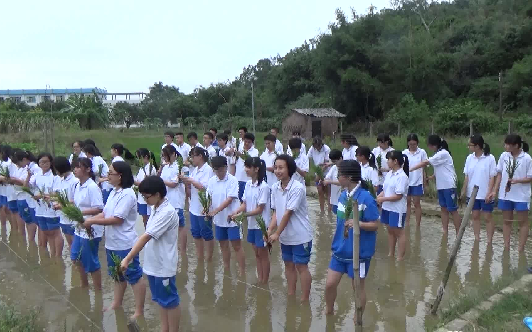 [图]高二军训珍贵录像