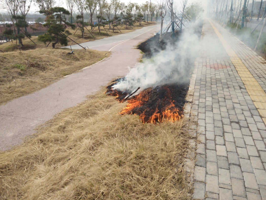郑州惠济区黄河边草地着火了