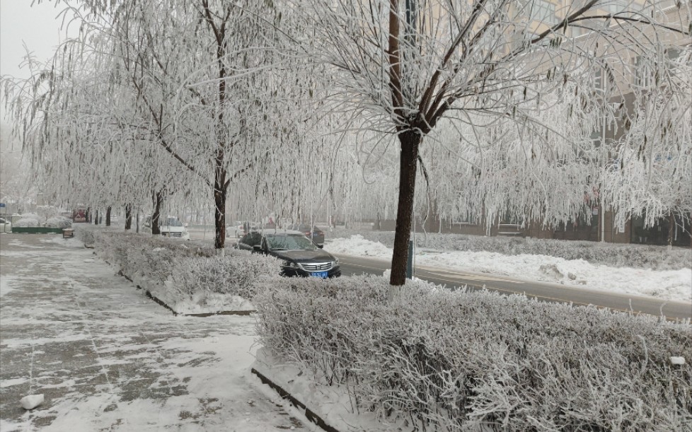 东北黑龙江望奎