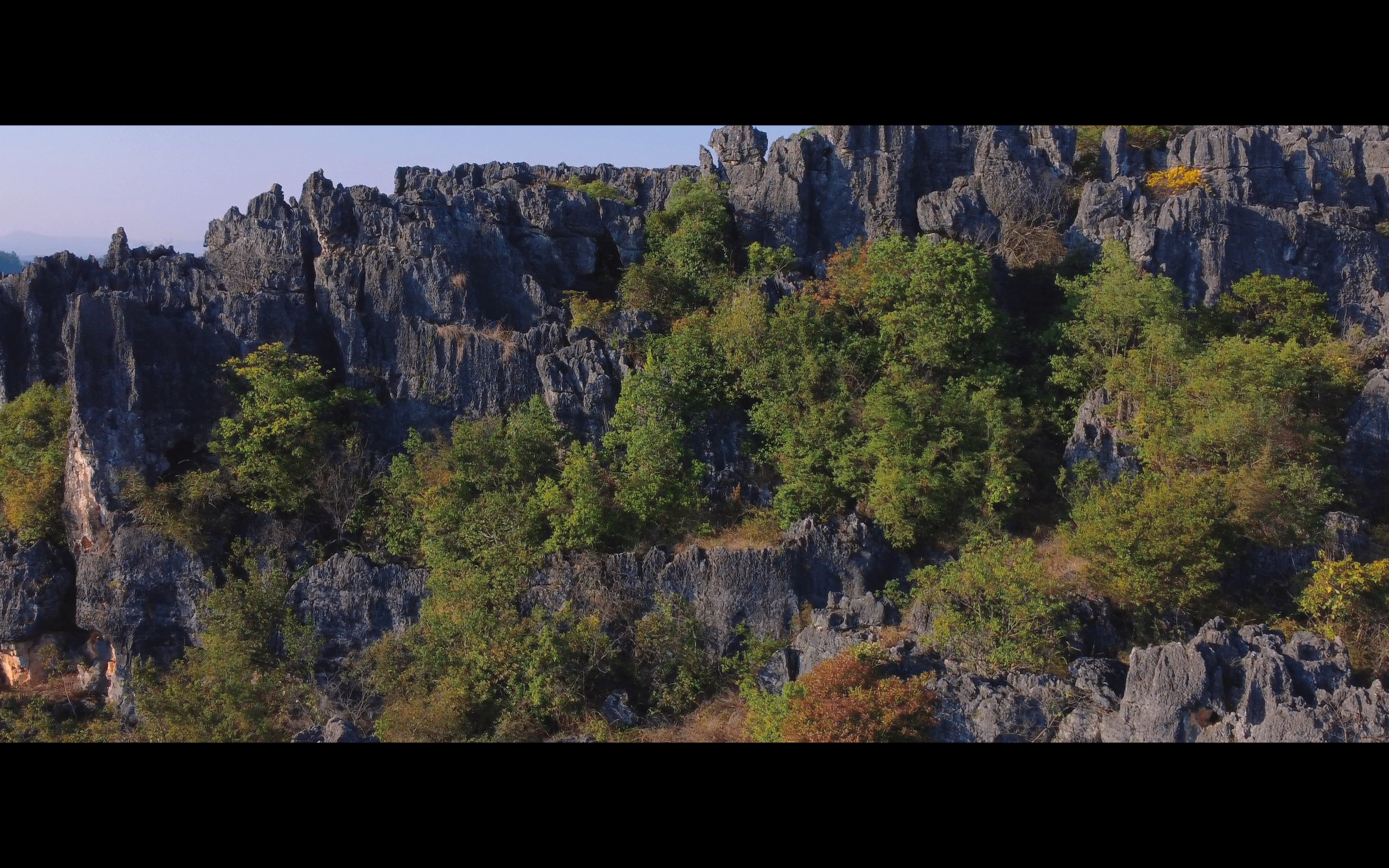 乃古石林油菜花海