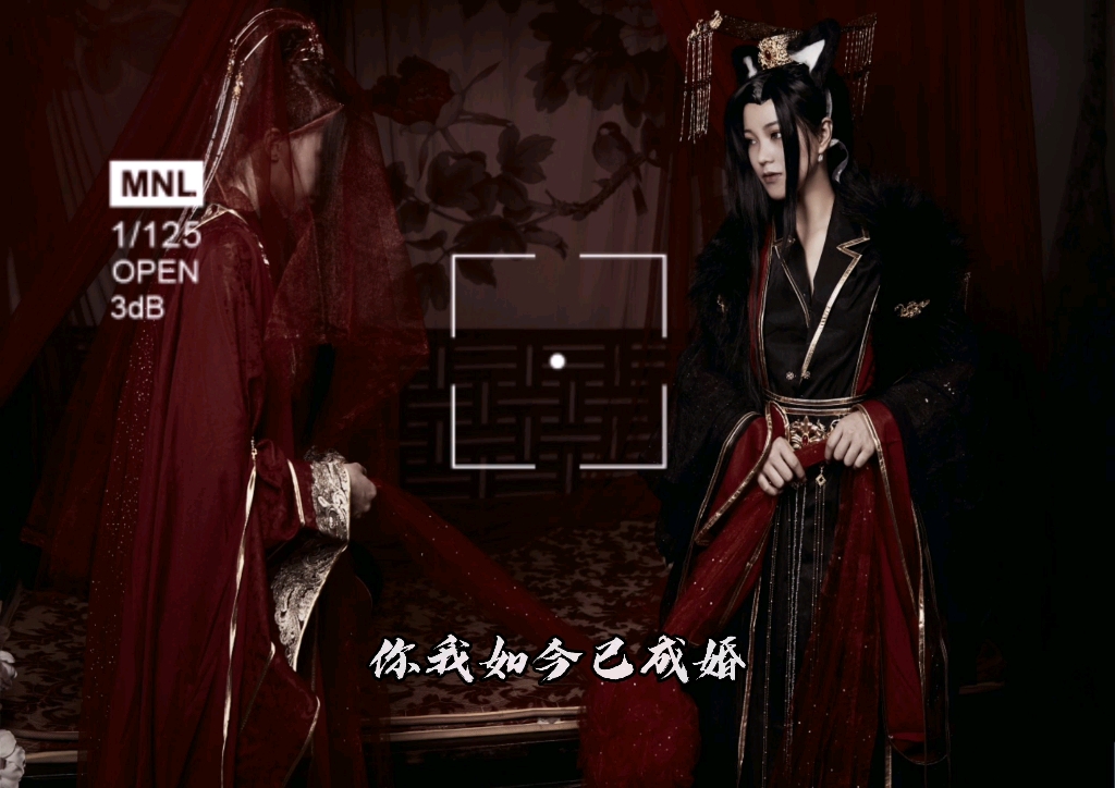 二哈和他的白猫师尊05大婚