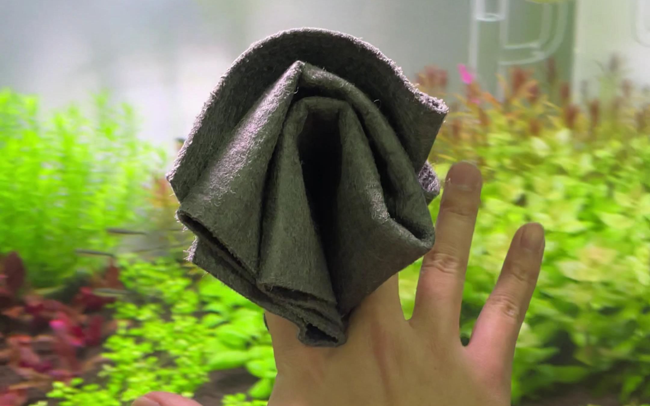 3条无水痕抹布,1条擦鱼缸1条做家务,还剩1条._哔哩哔哩_bilibili