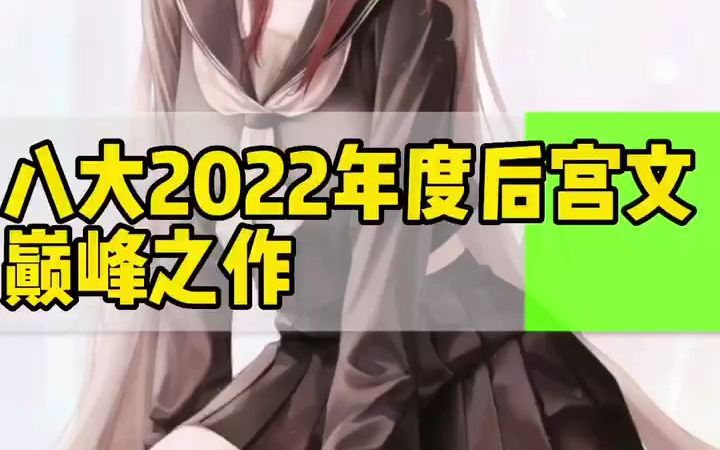 八本2022年度后宫文巅峰之作哔哩哔哩bilibili