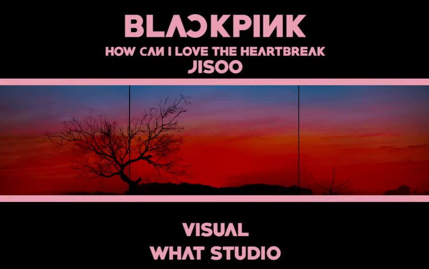 [图]BLACKPINK 'HOW CAN I LOVE THE HEARTBREAK' [VISUAL IN YOUR AREA TOKYO DOME]