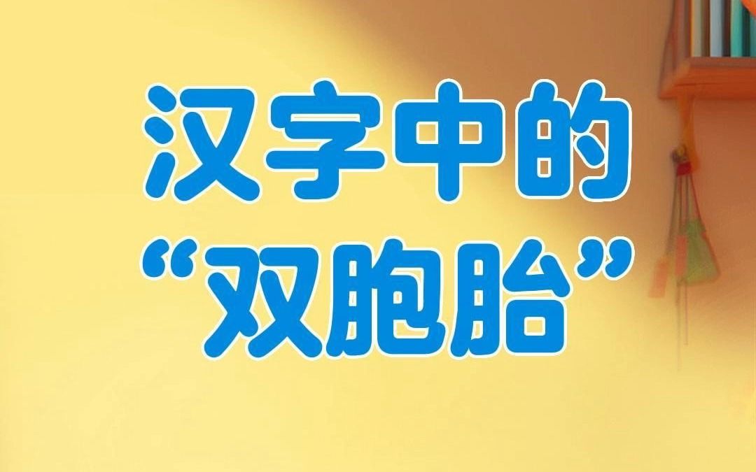 汉字中也有“双胞胎”?!哔哩哔哩bilibili