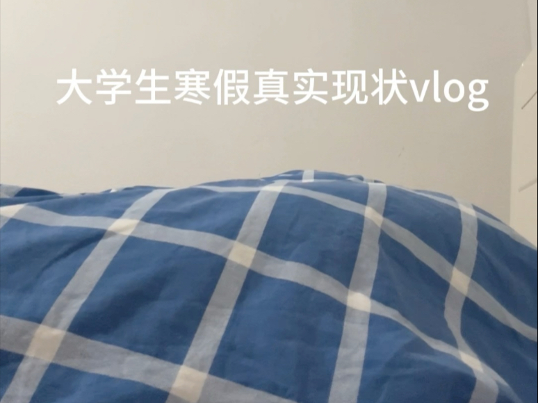 大学生寒假真实现状vlog哔哩哔哩bilibili