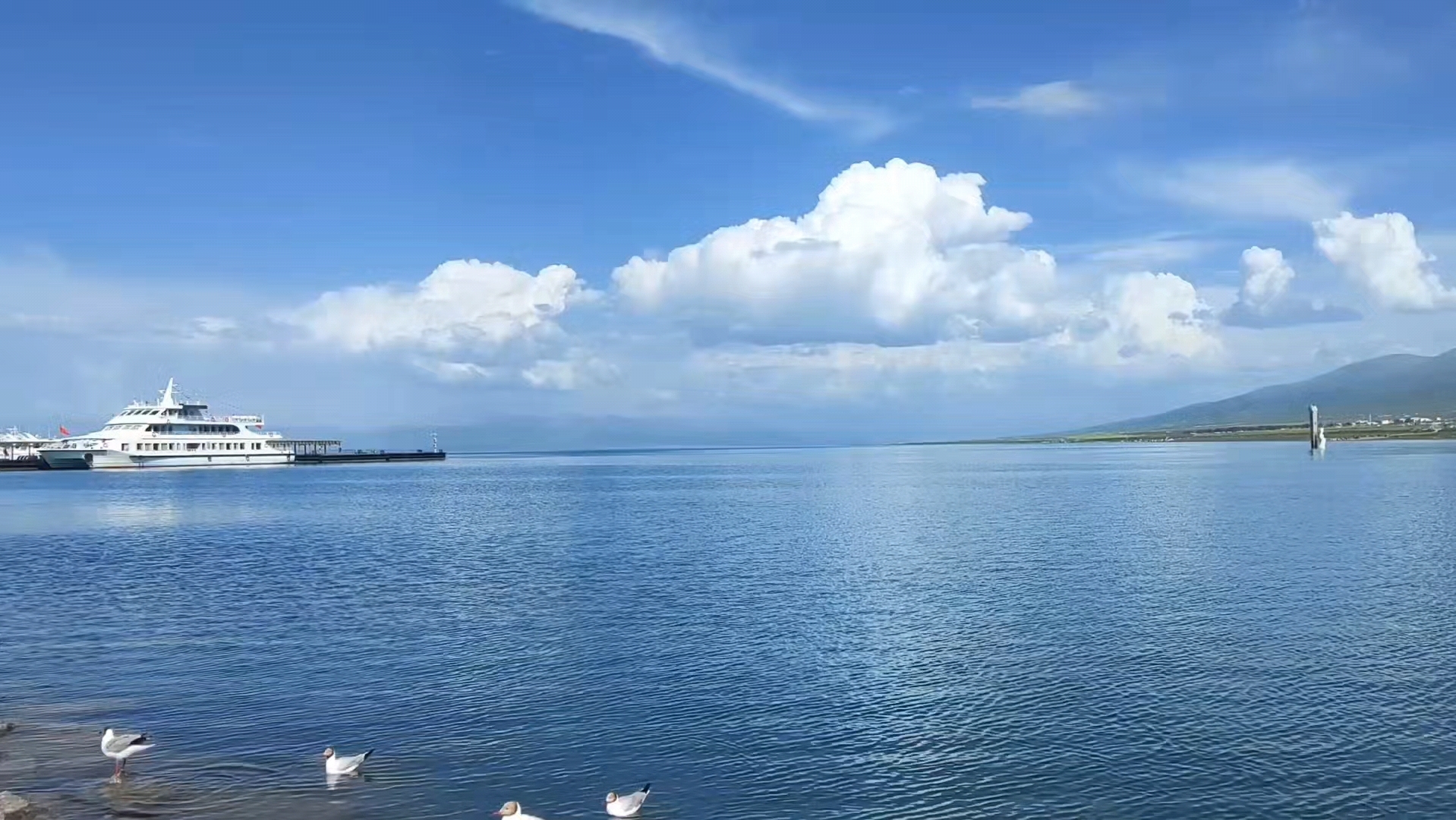 青海湖美景