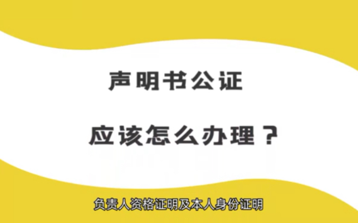 声明书公证应该怎么办理?哔哩哔哩bilibili