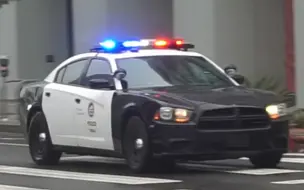 Download Video: 【LAPD】洛杉矶警察局 道奇战马警车Code3出警街拍