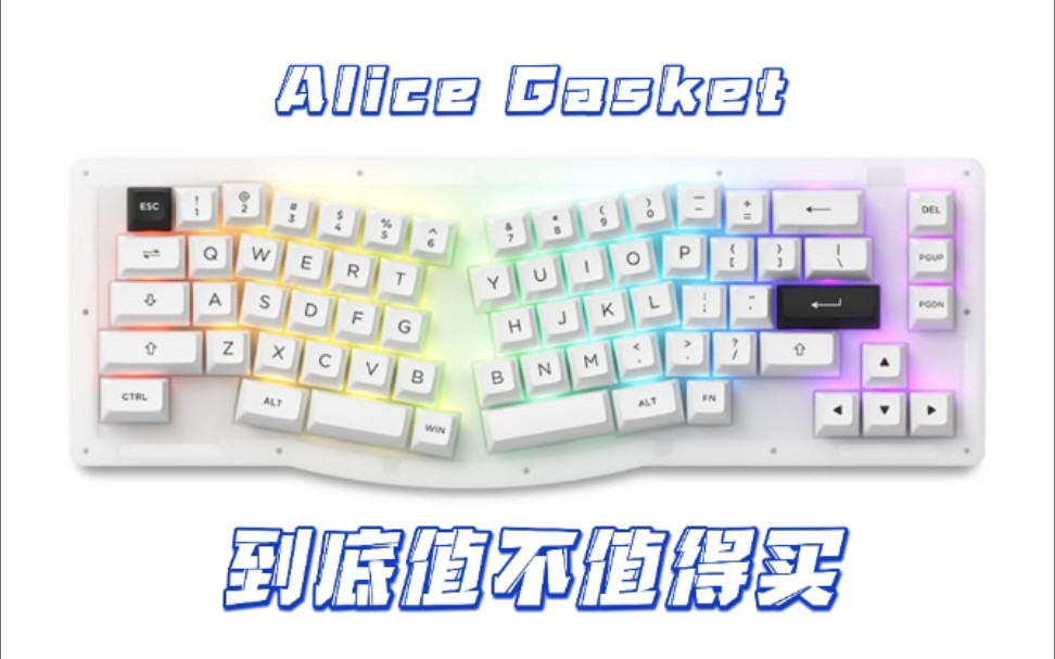 [每日一抽]打响量产大厂Alice配列第一枪!549元的Gasket结构键盘Akko Alice键盘到底怎么样?哔哩哔哩bilibili