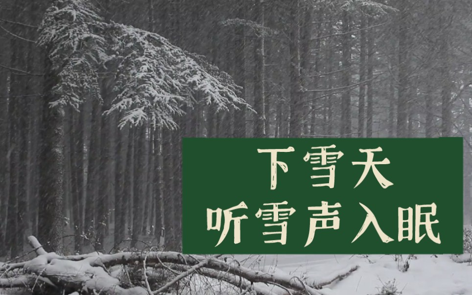 下雪天,听雪声入眠哔哩哔哩bilibili