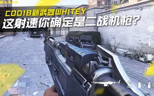 Скачать видео: 这射速你确定是二战机枪？使命召唤18新武器WHITEY试玩！