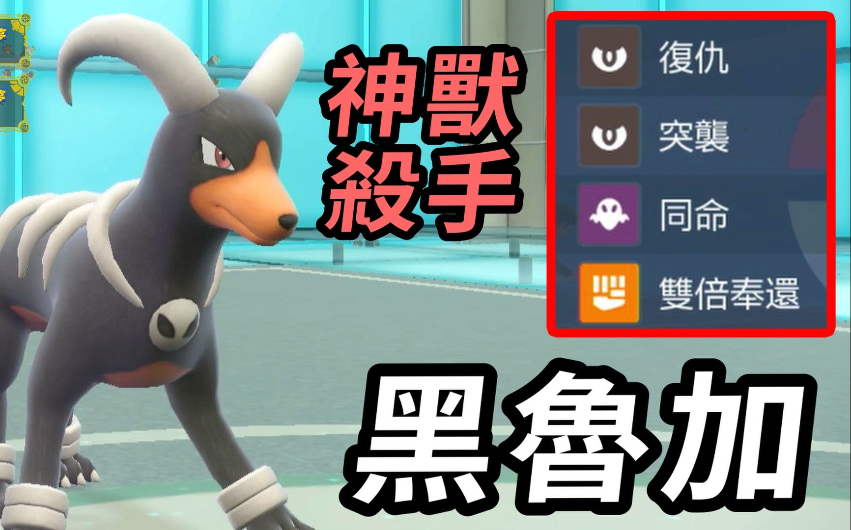 朱紫】与咆哮虎相同属性却不同待遇 专杀神兽的超陷阱流配置 黑鲁加