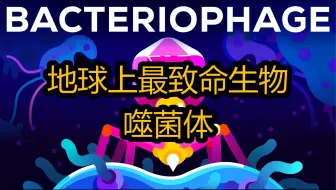 【中配】地球上最致命生物：噬菌体 - Kurzgesagt – In a Nutshell