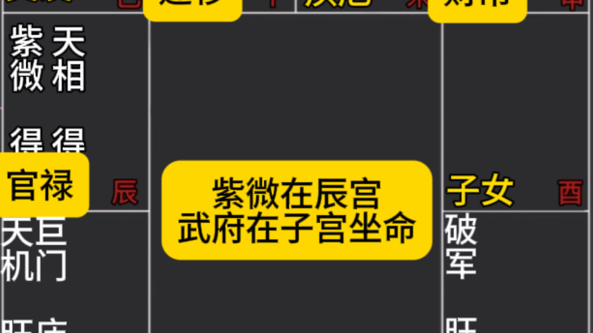 紫微斗数紫微天相在辰武曲天府子宫坐命哔哩哔哩bilibili