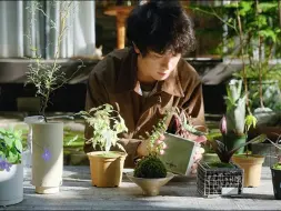 Download Video: 【生活・园艺】放松的打理植物|贴心的植物和盆的配对|盆景设计|苔藓球制作|@benjiplant