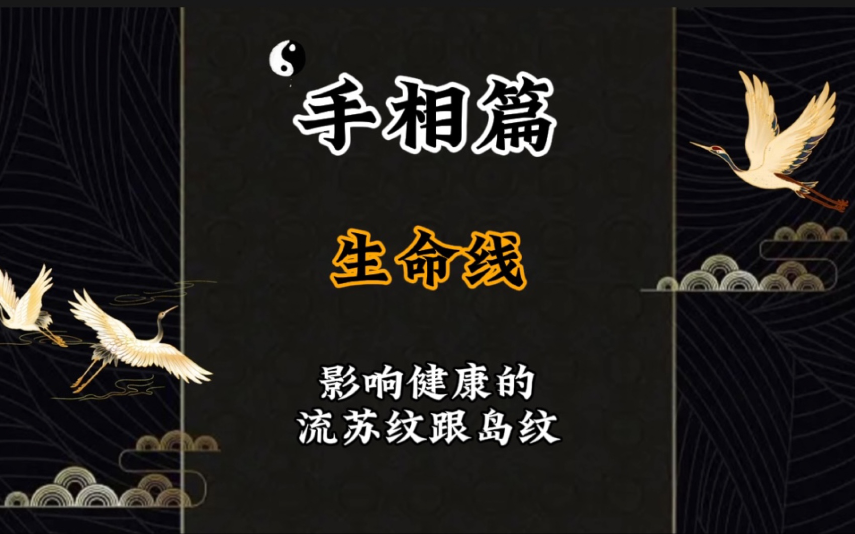 「来半斤」玄学国学知识手相篇生命线上的流苏纹跟岛纹哔哩哔哩bilibili