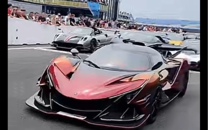 华裔神豪金凤凰大佬mikeyin国外的排面顶满