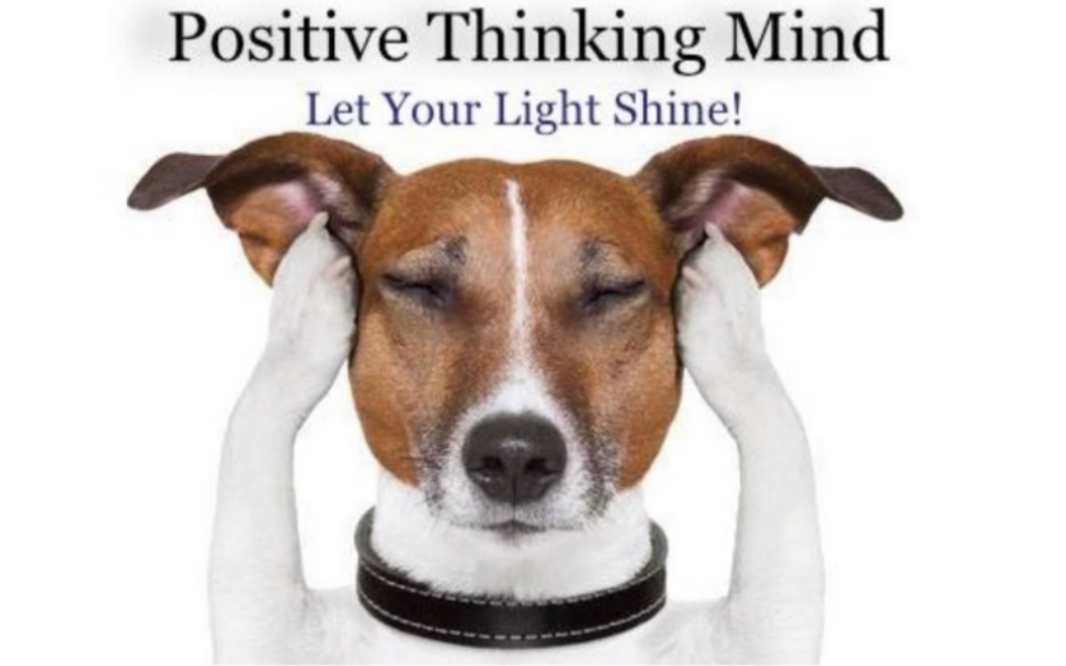 Podcast系列 【英文播客】|积极生活|Positive Thinking Mind哔哩哔哩bilibili