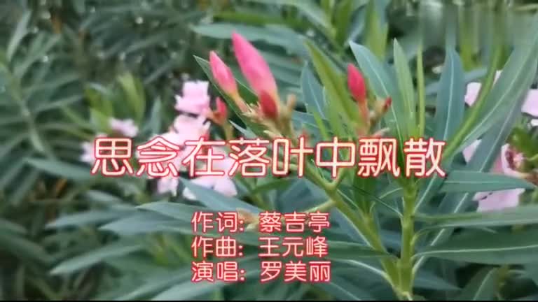 [图]新歌！一曲《思念在落叶中飘散》句句走心，听醉了！