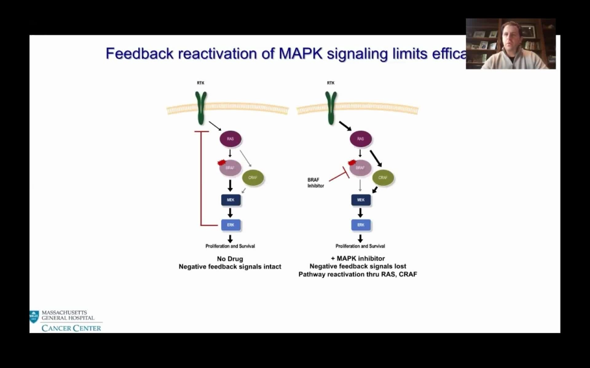 【中英文字幕版】AACR2020Strategies to Overcome Adaptive ResistanceRyan Corcoran哔哩哔哩bilibili